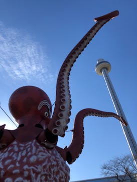 西武園ゆうえんちに投稿された画像（2021/12/12）