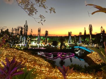 美らヤシパークオキナワ・東南植物楽園に投稿された画像（2021/12/12）