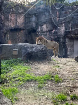 天王寺動物園に投稿された画像（2021/12/12）