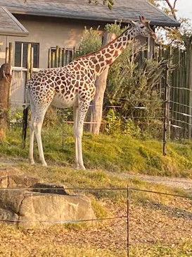 天王寺動物園に投稿された画像（2021/12/12）