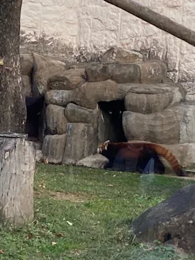天王寺動物園に投稿された画像（2021/12/12）