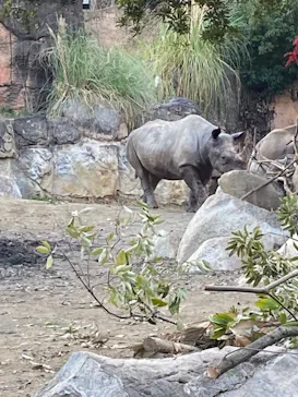 天王寺動物園に投稿された画像（2021/12/12）