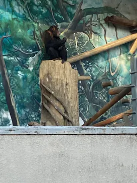 天王寺動物園に投稿された画像（2021/12/12）