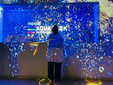 マクセル アクアパーク品川に投稿された画像（2021/12/12）