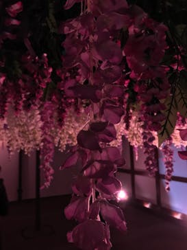 東京メガイルミに投稿された画像（2021/12/12）