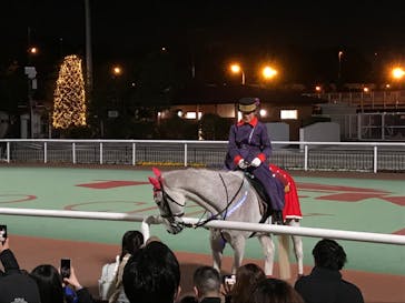 東京メガイルミに投稿された画像（2021/12/12）