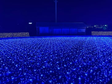 東京メガイルミに投稿された画像（2021/12/12）