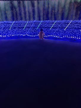 東京メガイルミに投稿された画像（2021/12/12）