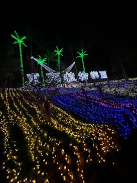美らヤシパークオキナワ・東南植物楽園に投稿された画像（2021/12/12）