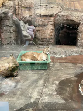 天王寺動物園に投稿された画像（2021/12/12）