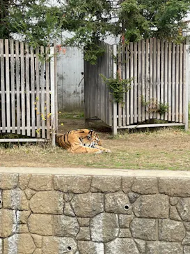 天王寺動物園に投稿された画像（2021/12/12）