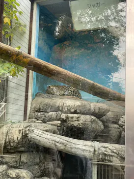 天王寺動物園に投稿された画像（2021/12/12）