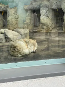 天王寺動物園に投稿された画像（2021/12/12）
