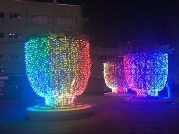 東京メガイルミに投稿された画像（2021/12/12）