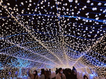 東京メガイルミに投稿された画像（2021/12/12）