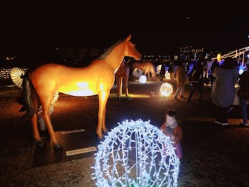 東京メガイルミに投稿された画像（2021/12/12）