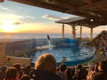 新江ノ島水族館に投稿された画像（2021/12/12）