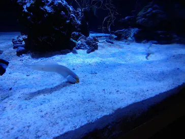 すみだ水族館に投稿された画像（2021/12/12）