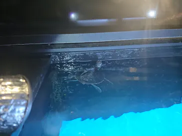 すみだ水族館に投稿された画像（2021/12/12）