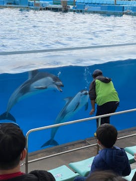 名古屋港水族館に投稿された画像（2021/12/12）