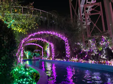 ひらかたパークに投稿された画像（2021/12/12）