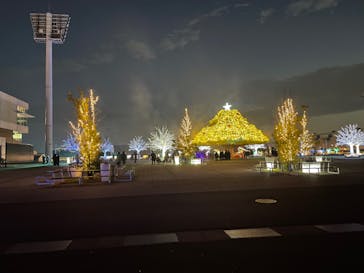 東京メガイルミに投稿された画像（2021/12/12）