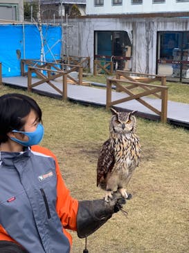 那須どうぶつ王国に投稿された画像（2021/12/12）