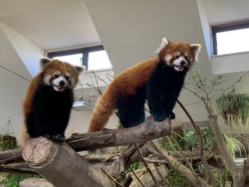 那須どうぶつ王国に投稿された画像（2021/12/12）