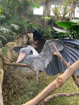 那須どうぶつ王国に投稿された画像（2021/12/12）