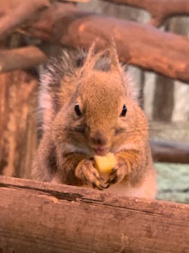 那須どうぶつ王国に投稿された画像（2021/12/12）