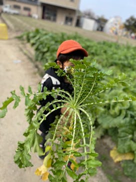 淡路ファームパーク イングランドの丘に投稿された画像（2021/12/12）