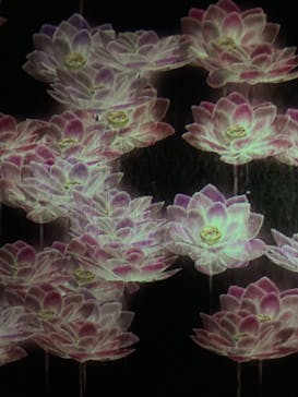 森ビル デジタルアート ミュージアム：エプソン チームラボボーダレスに投稿された画像（2021/12/12）