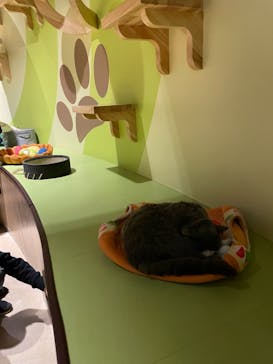 Moff animal world MARK IS みなとみらい店に投稿された画像（2021/12/12）