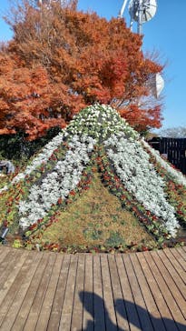 伊豆パノラマパークに投稿された画像（2021/12/12）