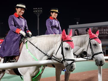 東京メガイルミに投稿された画像（2021/12/12）