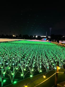 東京メガイルミに投稿された画像（2021/12/12）