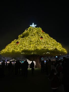 東京メガイルミに投稿された画像（2021/12/12）