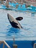 名古屋港水族館に投稿された画像（2021/12/12）