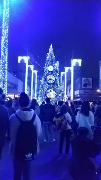 ひらかたパークに投稿された画像（2021/12/12）