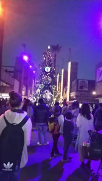 ひらかたパークに投稿された画像（2021/12/12）