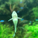 すみだ水族館に投稿された画像（2021/12/12）