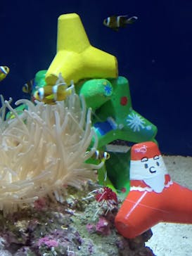 名古屋港水族館に投稿された画像（2021/12/12）