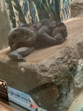 天王寺動物園に投稿された画像（2021/12/12）