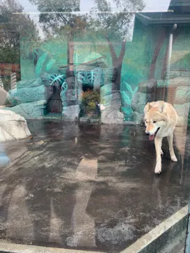 天王寺動物園に投稿された画像（2021/12/12）