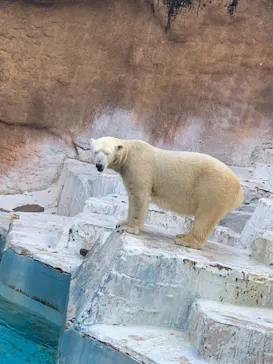天王寺動物園に投稿された画像（2021/12/12）