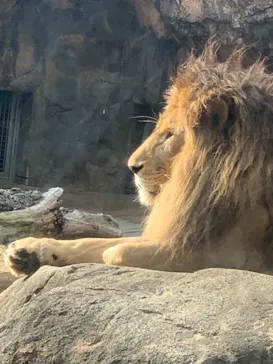 天王寺動物園に投稿された画像（2021/12/12）