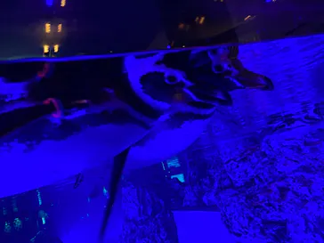 すみだ水族館に投稿された画像（2021/12/12）