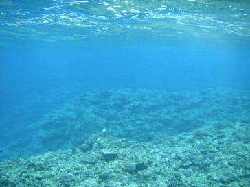 石垣島 ADVENTURE PiPi（イシガキジマアドベンチャーピピ）に投稿された画像（2021/12/12）