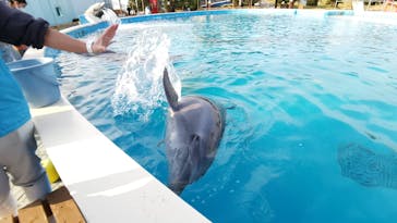 南知多ビーチランド＆南知多おもちゃ王国に投稿された画像（2021/12/12）