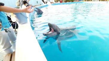 南知多ビーチランド＆南知多おもちゃ王国に投稿された画像（2021/12/12）